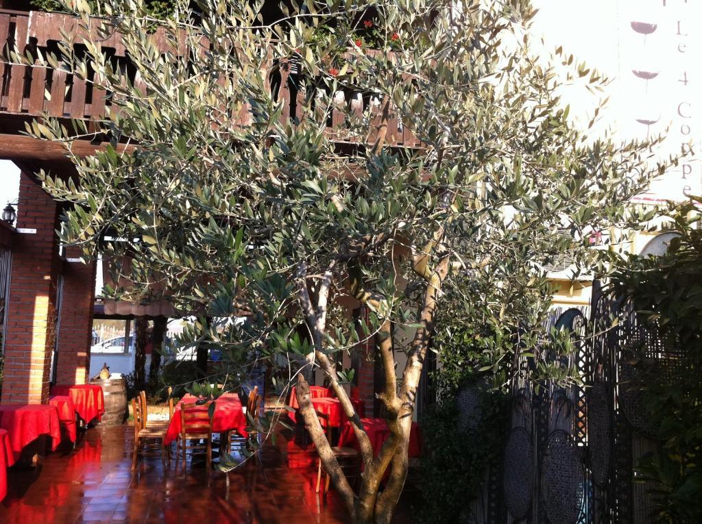 Hotel Manuela Le Quattro Coppe Desenzano del Garda Exterior foto